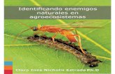 Identificando Enemigos Naturales en Agroecosistemas