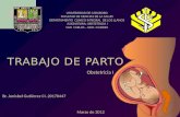 Obstetricia I T RABAJO DE PARTO UNIVERSIDAD DE CARABOBO FACULTAD DE CIENCIAS DE LA SALUD DEPARTAMENTO CLINICO INTEGRAL DE LOS LLANOS ASIGNATURA: OBSTETRICIA.
