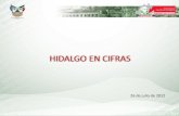 Hidalgo en Cifras