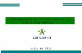 1 Radiografía de la economía y la industria mexicana Julio de 2013.
