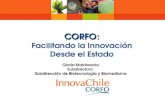 CORFO: CORFO: Facilitando la Innovación Desde el Estado Gloria Maldonado Subdirectora Subdirección de Biotecnología y Biomedicina.