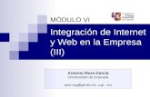 Integración de Internet y Web en la Empresa (III) MÓDULO VI Antonio Mora García Universidad de Granada amorag@geneura.ugr.es.