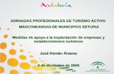 JORNADAS PROFESIONALES DE TURISMO ACTIVO MANCOMUNIDAD DE MUNICIPIOS BETURIA MANCOMUNIDAD DE MUNICIPIOS BETURIA Medidas de apoyo a la implantación de empresas.