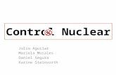 Control Nuclear Julio Aguilar Mariela Morales Daniel Segura Karine Steinvorth.