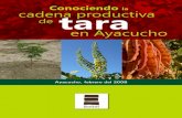 TARA.cadena Productiva de Tara en Ayacucho, Mayo 2008