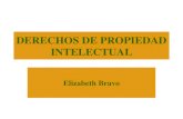 DERECHOS DE PROPIEDAD INTELECTUAL Elizabeth Bravo.