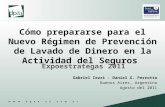 Cómo prepararse para el Nuevo Régimen de Prevención de Lavado de Dinero en la Actividad del Seguros Expoestrategas 2011 Gabriel Iezzi - Daniel G. Perrotta.