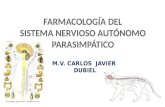 M.V. CARLOS JAVIER DUBIEL. El sistema nervioso puede ser dividido en dos grandes componentes: El Sistema Nervioso Central (SNC) y el Sistema Nervioso.