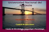 Universidad Nacional del Nordeste Facultad de Medicina Control de infecciones Cátedra de Microbiología, Inmunología y Parasitología 1Mgter. GPE - 2014.