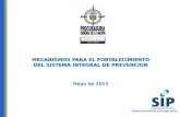 MECANISMOS PARA EL FORTALECIMIENTO DEL SISTEMA INTEGRAL DE PREVENCION Mayo de 2010.