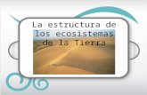 La estructura de los ecosistemas de la Tierra. Lectura inicial En el invierno de 2005, unos científicos españoles que estudiaban las aves migratorias.