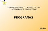 2010 FINANCIAMIENTO Y APOYOS A LAS ACTIVIDADES PRODUCTIVAS PROGRAMAS.