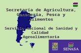 Secretaría de Agricultura, Ganadería, Pesca y Alimentos Servicio Nacional de Sanidad y Calidad Agroalimentaria SENASA.