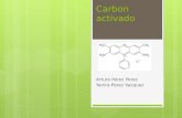 Carbon activado Arturo Perez Perez Yanira Perez Vazquez.