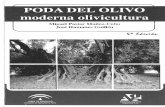 Poda Del Olivo. Moderna Olivicultura 5. Edicion