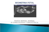 77781834 Biometria Fetal