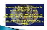 Convenio de Cooperación Técnica No Reembolsable N° ATN/OC-10774-RG-T 1275 SISTEMA DE VIGILANCIA EN SALUD AMBIENTAL EN LA REGION AMAZONICA Dra. María del.