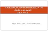 Blgo. Willy José Oriundo Vergara VIGILANCIA ENTOMOLOGICA DE Aedes aegypti DISA IV LE.