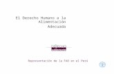 Representación de la FAO en el Perú El Derecho Humano a la Alimentación Adecuada.
