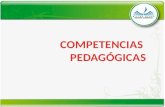 COMPETENCIAS PEDAGÓGICAS La evaluación de competencias pedagógicas se estructura desde tres campos del saber que dialogan entre sí y son objeto de reflexión.