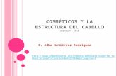 C OSMÉTICOS Y LA ESTRUCTURA DEL CABELLO WEBQUEST - 2010 E. Alba Gutiérrez Rodríguez  p?id_actividad=12560&id_pagina=1.