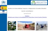 Análisis de Vulnerabilidad, Impacto y Adaptación al Cambio Climático Apuntes metodológicos Jacinto Buenfil Webinar Métodos para Evaluar la Sensibilidad.
