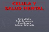 CELULA Y SALUD MENTAL Borja Villalba Emilio Campuzano David Segura Cristofer Echevarria.