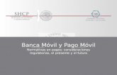 Banca Móvil y Pago Móvil Normativas en pagos: consideraciones regulatorias, el presente y el futuro.