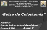 UNIVERSIDAD NACIONAL AUTONOMA DE MÉXICO [UNAM] ESCUELA NACIONAL DE ENFERMERÍA Y OBSTETRICIA [ENEO] “ Bolsa de Colostomía“ Alumna: García Juárez Mitzel.