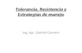 Tolerancia, Resistencia y Estrategias de manejo Ing. Agr. Gabriel Garnero.