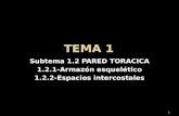 Subtema 1.2 PARED TORACICA 1.2.1-Armazón esquelético 1.2.2-Espacios intercostales 1.