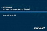 SonicWALL Por qué necesitamos un firewall Seminario comercial.