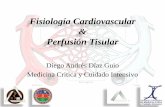Fisiologia Cardiovascular & Fisiopatologia Del Shock