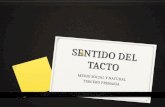 SENTIDO DEL TACTO MEDIO SOCIAL Y NATURAL TERCERO PRIMARIA.