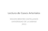 Lectura de Gases Arteriales WILSON BRICEÑO CASTELLANOS UNIVERSIDAD DE LA SABANA 2013.