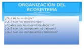 ¿Qué es la ecología? ¿Qué son los ecosistemas? ¿Cuáles son los niveles ecológicos? ¿Qué son los componentes bióticos? ¿Qué son los componentes abióticos?