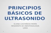 PRINCIPIOS BÁSICOS DE ULTRASONIDO ELIANA CASTAÑEDA MARÍN RESIDENTE DE ANESTESIOLOGÍA UDEA.