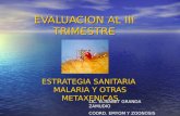 EVALUACION AL III TRIMESTRE ESTRATEGIA SANITARIA MALARIA Y OTRAS METAXENICAS LIC. ELISABET GRANDA ZAMUDIO COORD. EMYOM Y ZOONOSIS.