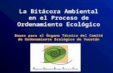 La Bitácora Ambiental en el Proceso de Ordenamiento Ecológico Bases para el Órgano Técnico del Comité de Ordenamiento Ecológico de Yucatán.