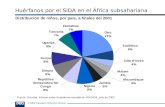 © 2003 Population Reference Bureau Huérfanos por el SIDA en el África subsahariana Distribución de niños, por país, a finales del 2001 Fuente: Onusida,
