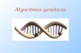 Algoritmos genéticos. Concepto Algoritmo de búsqueda basado en la mecánica de la ge- nética y la selección natural.Un algoritmo genético pue- de resolver.