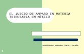 1 EL JUICIO DE AMPARO EN MATERIA TRIBUTARIA EN MÉXICO MAGISTRADO ARMANDO CORTÉS GALVÁN.