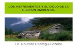 LOS INSTRUMENTOS Y EL CICLO DE LA GESTION AMBIENTAL Dr. Rolando Reátegui Lozano.