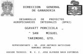 DIRECCION GENERAL DE GANADERIA DESARROLLO DE PROYECTOS AGROPECUARIOS INTEGRALES (DPAI) GGAVATT PORCICOLA SAN MIGUEL TARIMORO, GTO. REPRESENTANTE : SR.