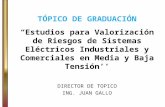 TÓPICO DE GRADUACIÓN Estudios para Valorización de Riesgos de Sistemas Eléctricos Industriales y Comerciales en Media y Baja Tensión DIRECTOR DE TOPICO.