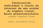 Tutorización individual a través de internet de una unidad de álgebra lineal. Nivel preuniversitario Lourdes Figueiras Ocaña Asesor: Josep Maria Fortuny.
