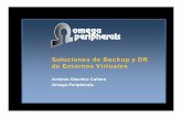 Soluciones de backup y dr de entornos virtuales