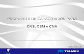 PROPUESTA DE CAPACITACIÓN PARA CNS, CSM y CNA 22/03/2010.