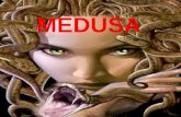 Medusa presentacion