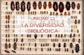 Unidad 13. La diversidad biológica